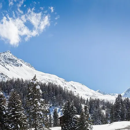 Camana 6 By Апартаменти *